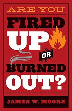 portada Are you Fired up or Burned Out? (en Inglés)