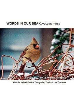portada Words in our Beak, Volume Three (en Inglés)
