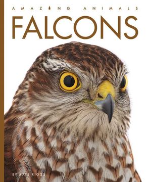 portada Falcons (en Inglés)
