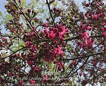 portada Spring in the Creasey Mahan Nature Preserve (en Inglés)
