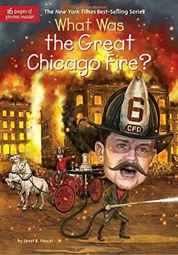 portada What was the Great Chicago Fire? (en Inglés)