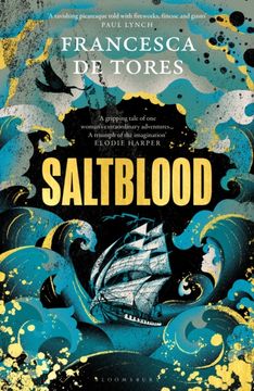 portada Saltblood: An Epic Historical Fiction Debut Inspired by Real Life Female Pirates