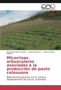 portada Micorrizas arbusculares asociadas a la producción de pasto colosuana: Bothriochloa pertusa (L) A. Camus, departamento de Sucre, Colombia