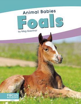 portada Foals