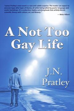 portada A Not Too Gay Life (in English)