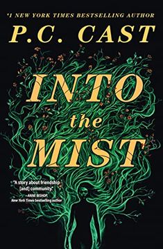 portada Into the Mist: A Novel 