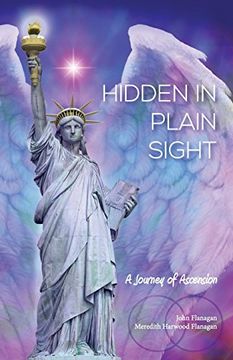 portada Hidden in Plain Sight: A Journey of Ascension
