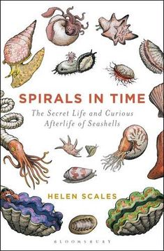 portada Spirals in Time: The Secret Life and Curious Afterlife of Seashells (in English)