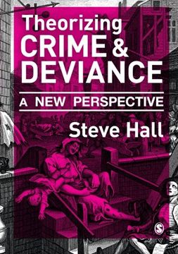 portada Theorizing Crime & Deviance: A New Perspective (en Inglés)