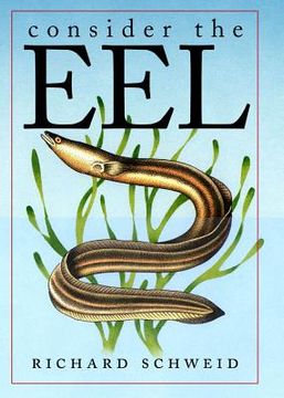 portada Consider the Eel (in English)