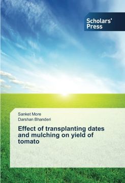portada Effect of transplanting dates and mulching on  yield of tomato