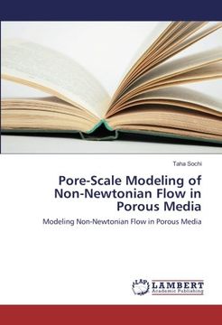 portada Pore-Scale Modeling of Non-Newtonian Flow in Porous Media: Modeling Non-Newtonian Flow in Porous Media