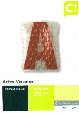 portada Artes Visuales 2011