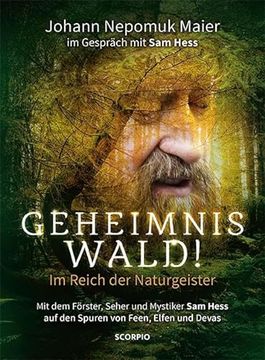 portada Geheimnis Wald! - im Reich der Naturgeister (en Alemán)