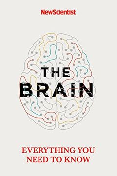 portada The Brain: Everything You Need to Know (en Inglés)