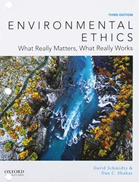 portada Environmental Ethics: What Really Matters, What Really Works (in English)