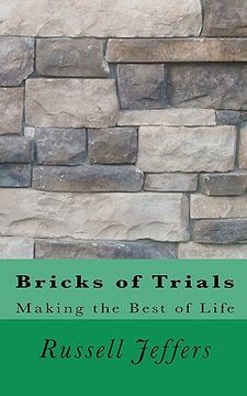 portada bricks of trials (en Inglés)