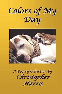 portada colors of my day (in English)