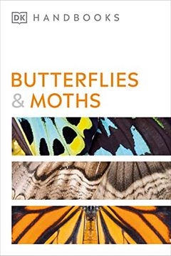 portada Butterflies and Moths (en Inglés)