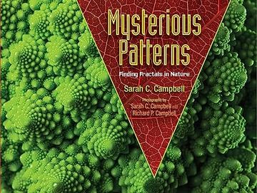 portada Mysterious Patterns: Finding Fractals in Nature (en Inglés)