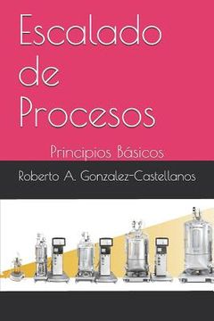 portada Escalado de Procesos: Principios Básicos (in Spanish)