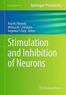 portada stimulation and inhibition of neurons (in English)