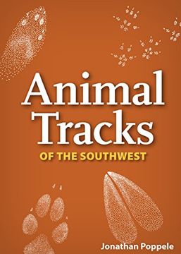 portada Animal Tracks of the Southwest Playing Cards (Nature's Wild Cards) (in English)