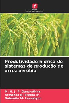 portada Produtividade hídrica de sistemas de produção de arroz aeróbio (in Portuguese)
