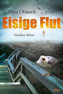 portada Eisige Flut: Nordsee-Krimi (Hauptkommissar John Benthien, Band 5) (in German)