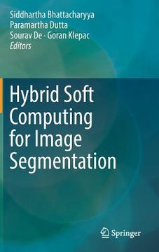 portada Hybrid Soft Computing for Image Segmentation (in English)
