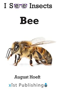 portada Bee (i see Insects) (en Inglés)