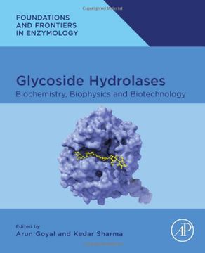 portada Glycoside Hydrolases: Biochemistry, Biophysics, and Biotechnology (Foundations and Frontiers in Enzymology) (in English)