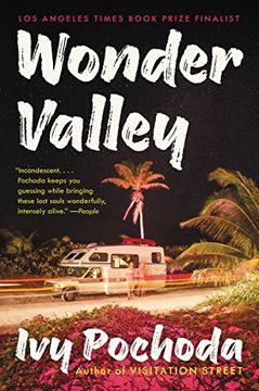 portada Wonder Valley: A Novel (in English)