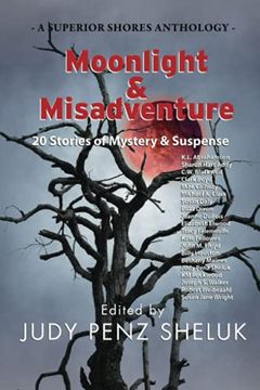 portada Moonlight & Misadventure: 20 Stories of Mystery & Suspense: 20 Stories of Mystery & Suspense: 3 (a Superior Shores Anthology) (in English)