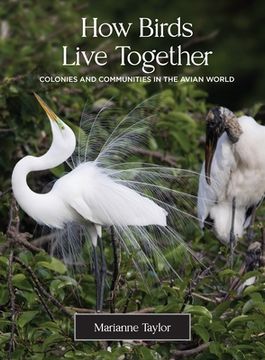 portada How Birds Live Together: Colonies and Communities in the Avian World (en Inglés)