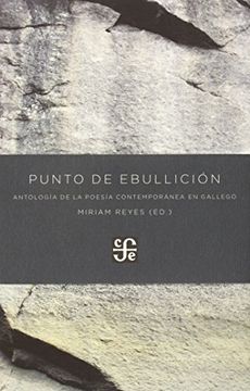 portada Punto de Ebullicion: Antologia de la Poesia Contemporanea en Gallego (Ed. Bilingue) (en Gallego, Español)