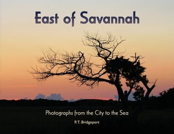 portada East of Savannah: Photographs from the City to the Sea (en Inglés)