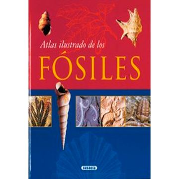 portada ATLAS ILUSTRADO DE LOS FOSILES (in Spanish)