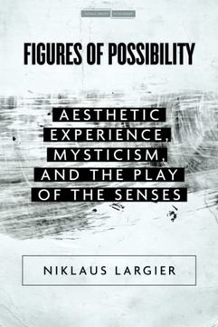 portada Figures of Possibility: Aesthetic Experience, Mysticism, and the Play of the Senses (Cultural Memory in the Present) (in English)