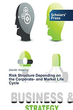 portada Risk Structure Depending on the Corporate- And Market Life Cycle