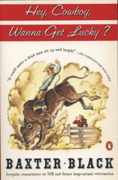 portada Hey Cowboy, Wanna get Lucky? (in English)