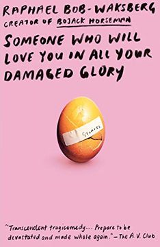 portada Someone who Will Love you in all Your Damaged Glory: Stories (in English)