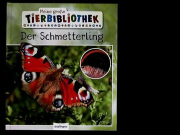 portada Der Schmetterling: Sachbuch für Vorschule & Grundschule. Meine Große Tierbibliothek. (en Alemán)
