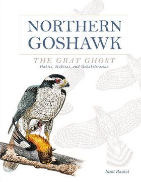 portada Northern Goshawk, the Gray Ghost: Habits, Habitat, and Rehabilitation