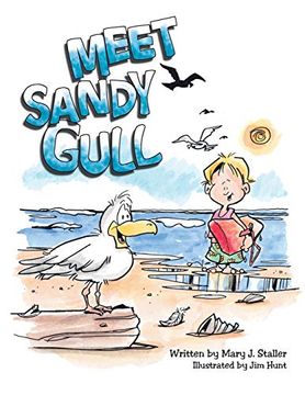 portada Meet Sandy Gull (en Inglés)