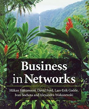 portada Business in Networks (en Inglés)
