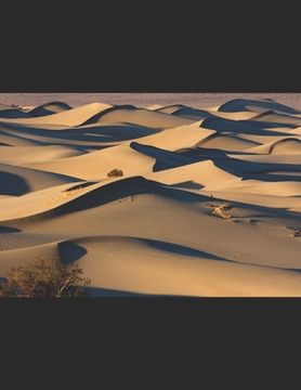 portada Beautiful Sand Dunes in Death Valley (en Inglés)
