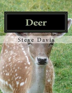 portada Deer: Adult Coloring Book (en Inglés)