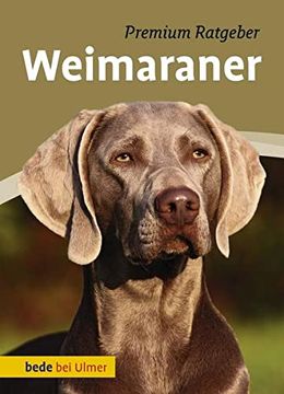 portada Weimaraner (en Alemán)