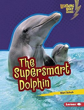 portada The Supersmart Dolphin Format: Library Bound (en Inglés)